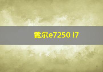 戴尔e7250 i7